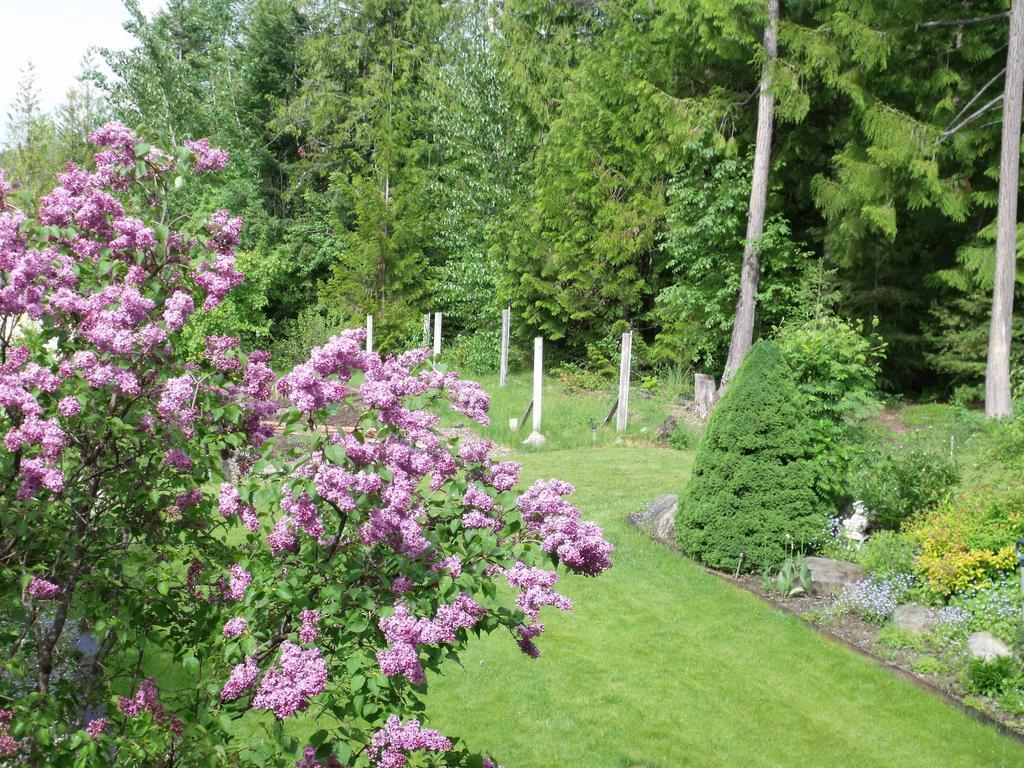 فيرنون Silver Star Bed And Breakfast الغرفة الصورة